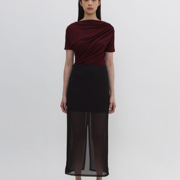 Echo Sheer Skirt In Black